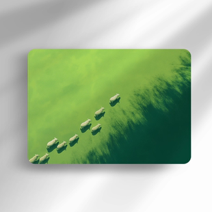 160张自然风景高清4K安卓ipad平板壁纸超高清8K治愈森林壁纸图片