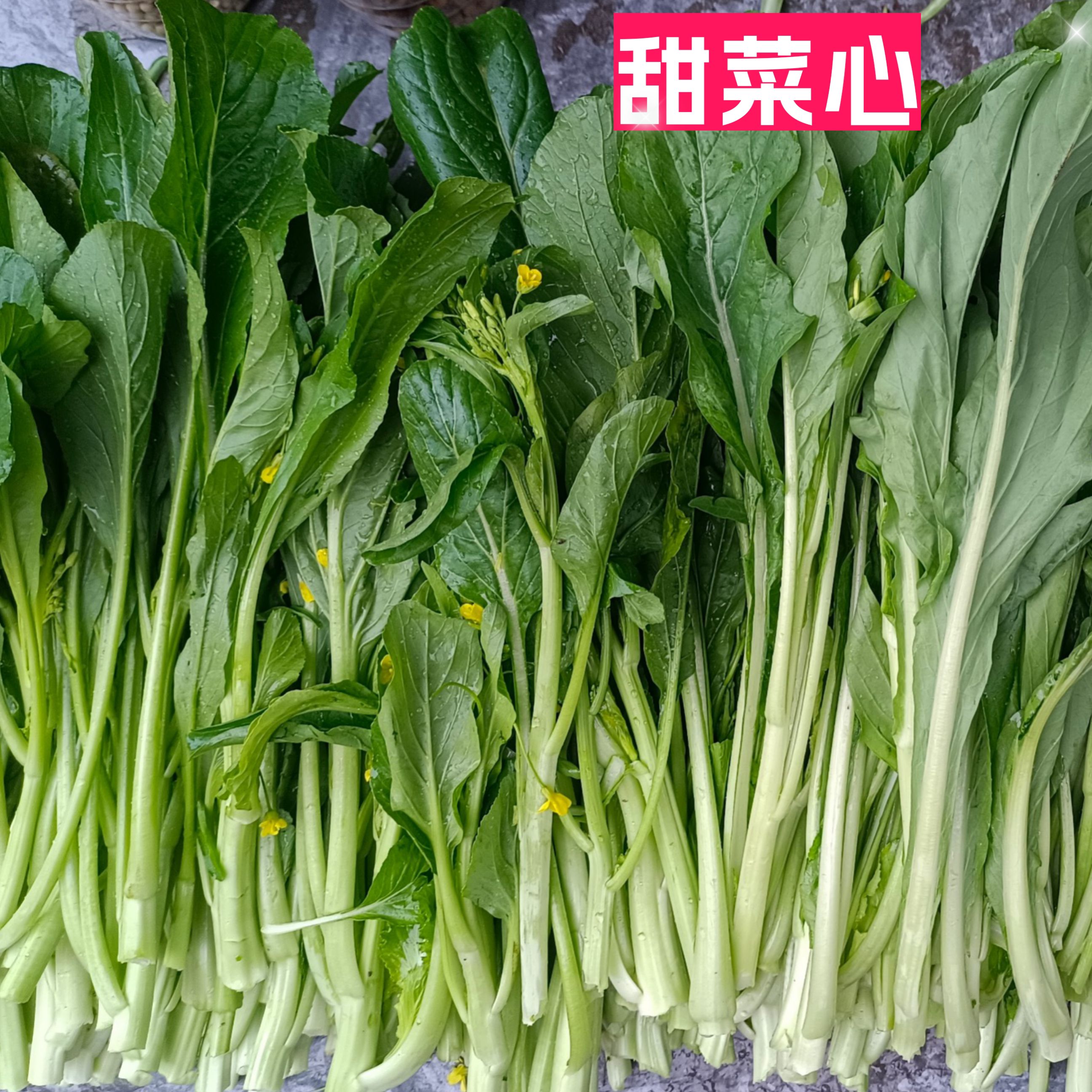 桂林农家特色蔬菜当天采摘新鲜甜菜花绿色菜苔菜心