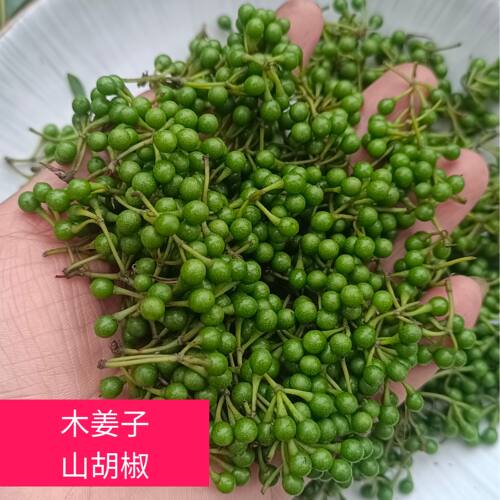 新鲜木姜子山胡椒山苍子山椒子木姜子广西特产新鲜野生现摘现发