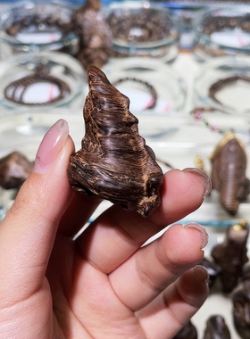 正区达拉干沉水沉水留疤/10.66