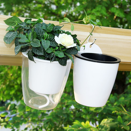 壁挂式透明花盆价格 壁挂式透明花盆图片 星期三