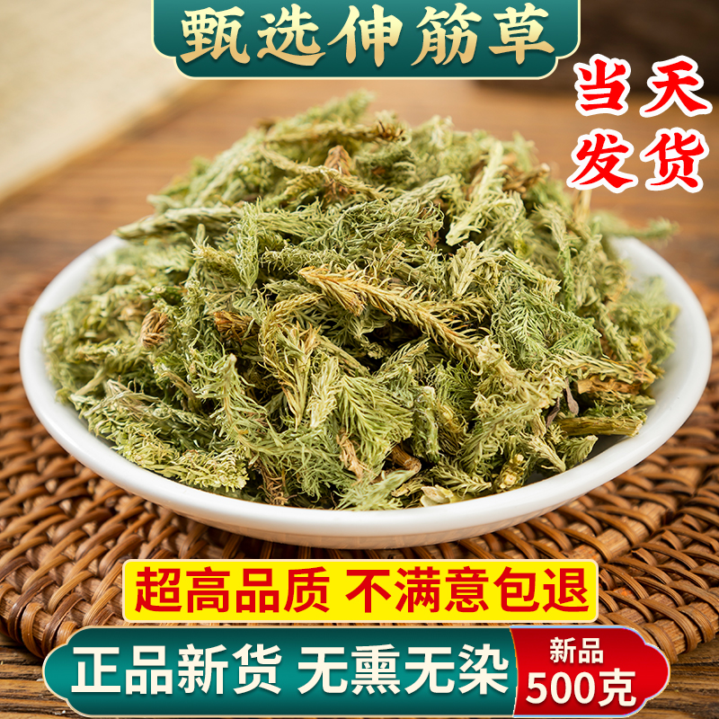 甄选伸筋草中药500克g正品另售远志益智仁伸筋草透骨草中药材新货