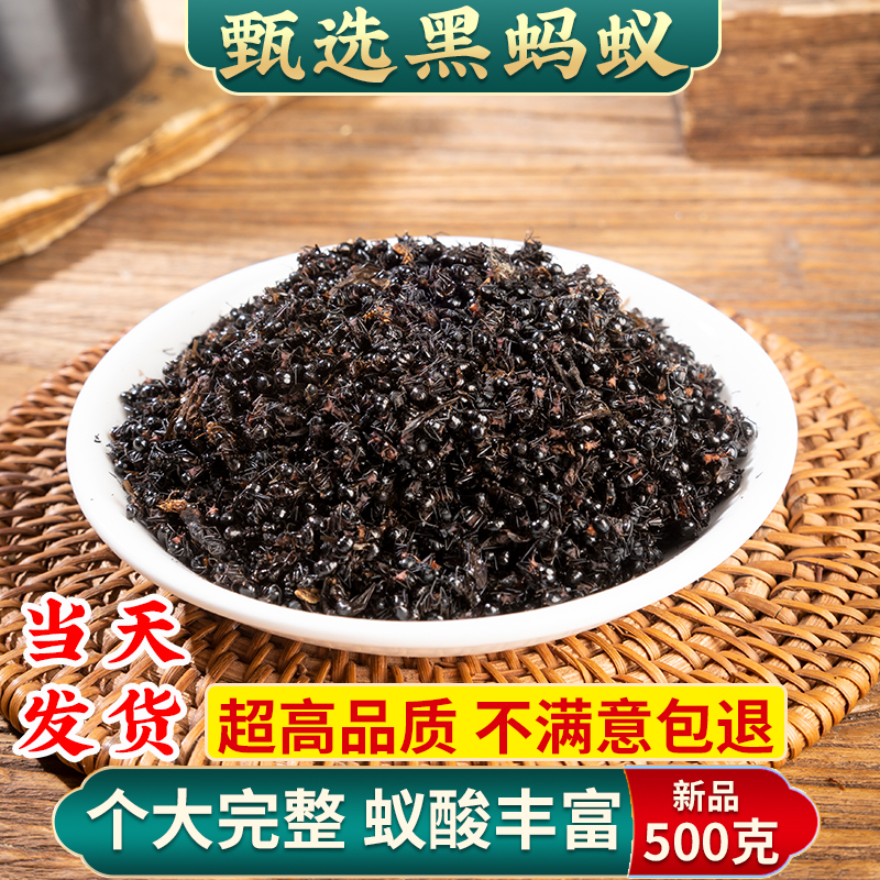 黑蚂蚁干野生500g克正品特级养生中药材泡酒长白山大黑蚂蚁可打粉