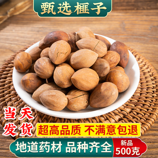 正品榧子中药材/500克 生香榧子 玉山果赤果玉榧香榧药用正品新货