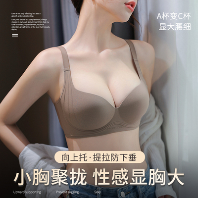 3D聚拢内衣小胸平胸专用显大文胸