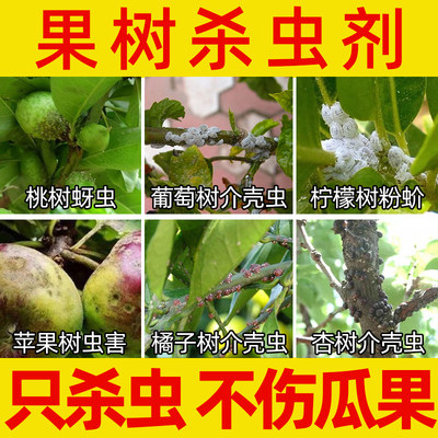 【果树杀虫剂】葡萄橘子树通用