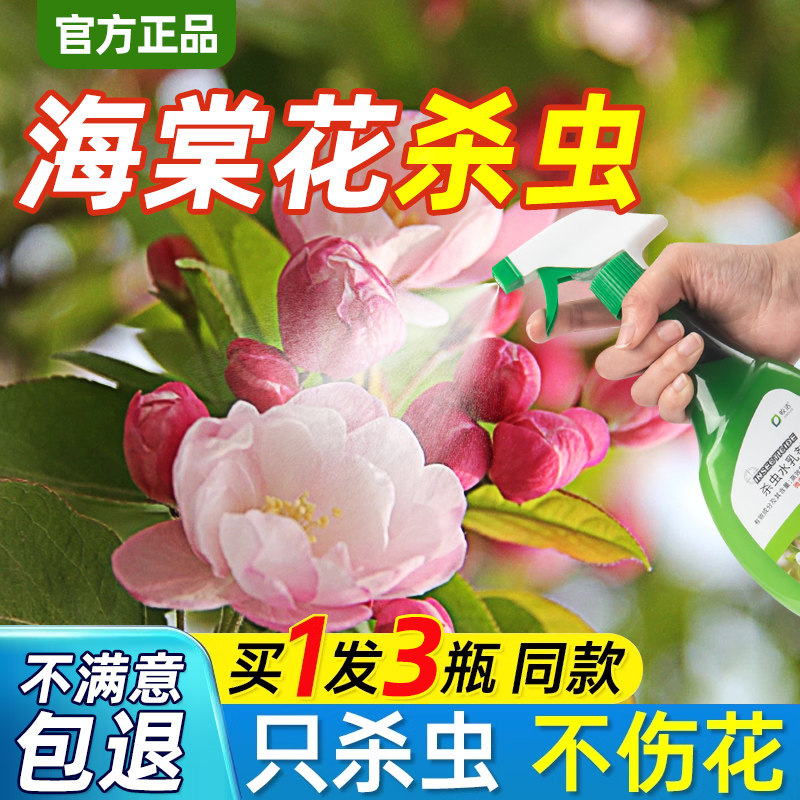 海棠花杀虫剂花卉植物土壤灭盆栽小飞虫药蚧壳虫蚜虫打虫家用治虫