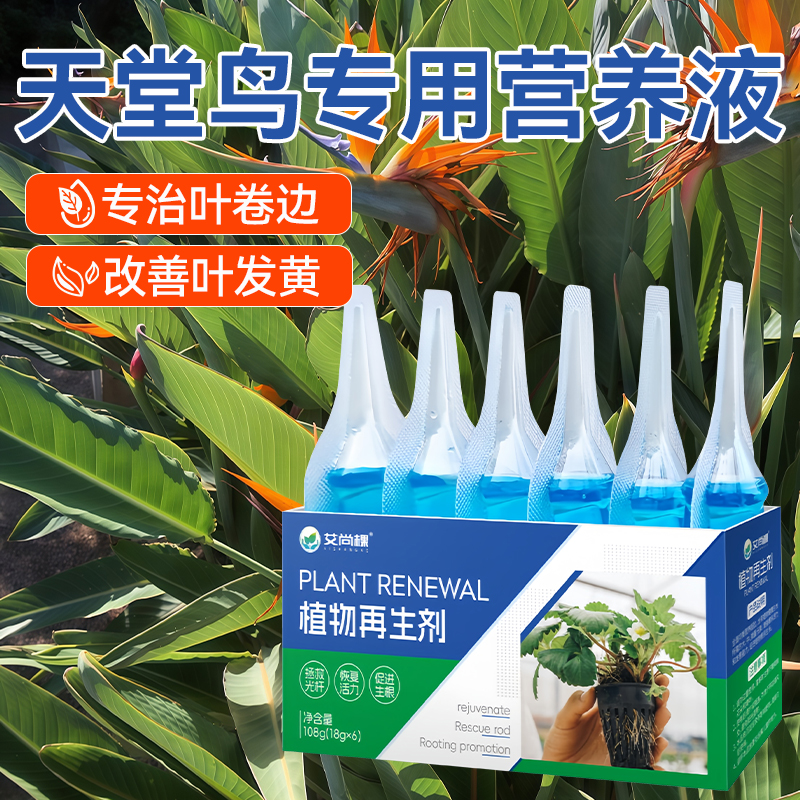 艾尚棵天堂鸟黄叶烂根专用营养液