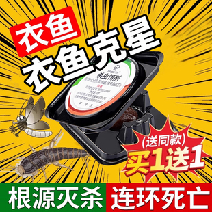 衣鱼虫杀虫剂家用室内非无毒诱捕盒衣蛾专用药灭杀鱼衣虫的杀虫药