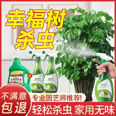 幸福树杀虫药绿植花卉专用