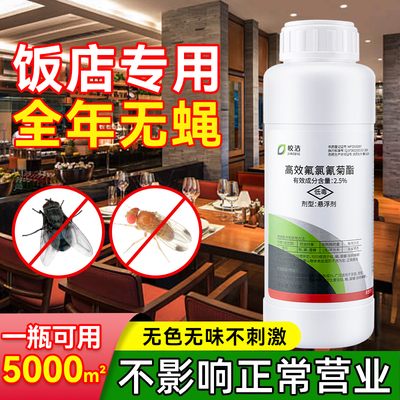 【不影响营业】饭店苍蝇药大面积