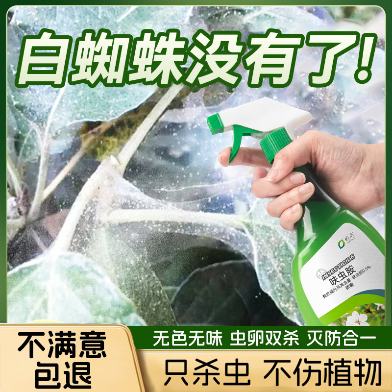 白蜘蛛专用杀虫剂除虫药虫卵双杀驱虫月季花红金满枝药非特效灭杀