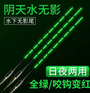 阴天水无影全绿加粗夜光漂高灵敏醒目超亮夜钓鲫鱼咬钩变色夜光漂
