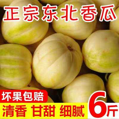 东北香瓜京密小甜瓜10新鲜