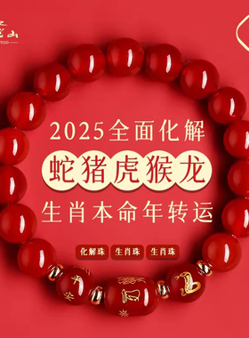 普陀山蛇年本命年手链化解吉祥物