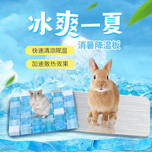 兔子散热板仓鼠散热板大号小宠用品批发降温板中号小号