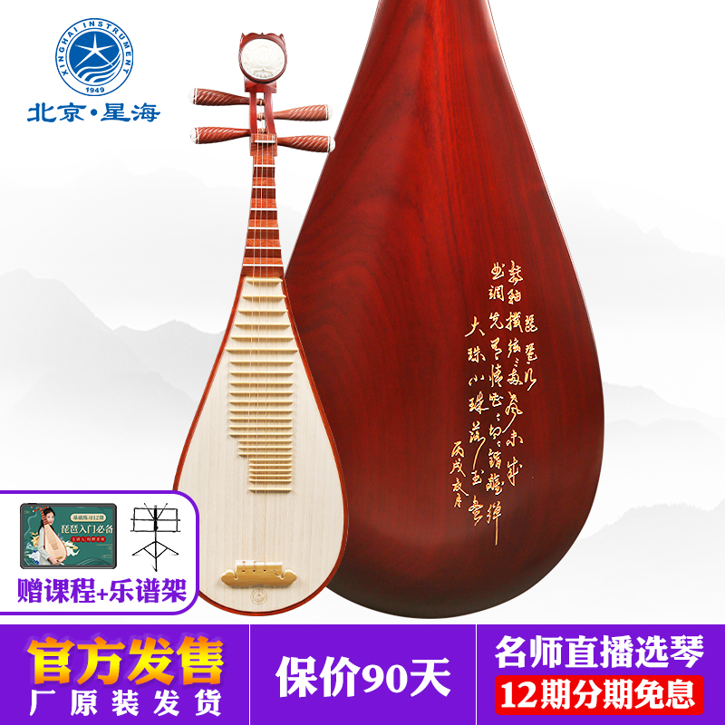 星海琵琶乐器初学者成人非洲紫檀
