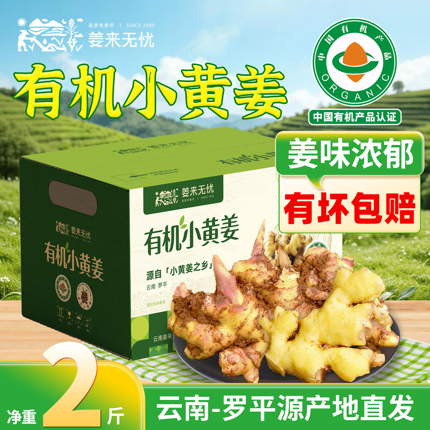 姜来无忧有机新鲜云南罗平小黄姜2025年新鲜老姜土姜带泥食用生姜