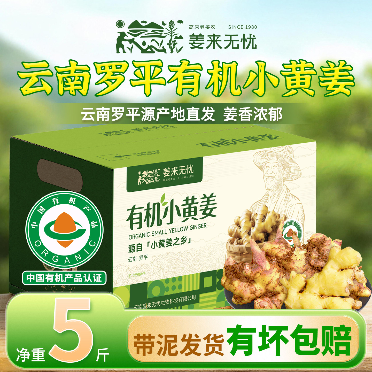 姜来无忧云南正宗罗平有机小黄姜生姜新鲜姜老姜带泥土姜产地直发
