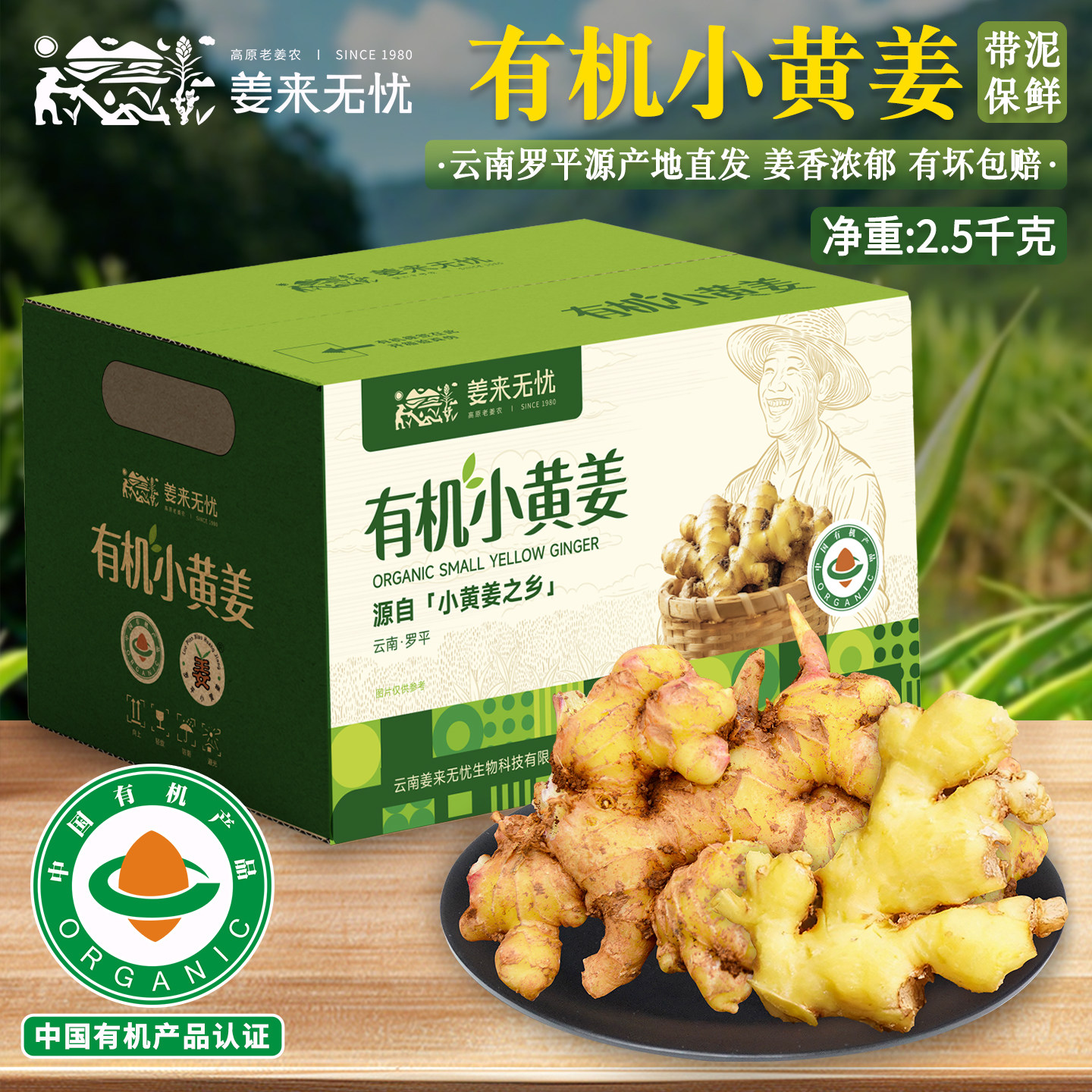 云南罗平有机小黄姜生姜老姜鲜姜