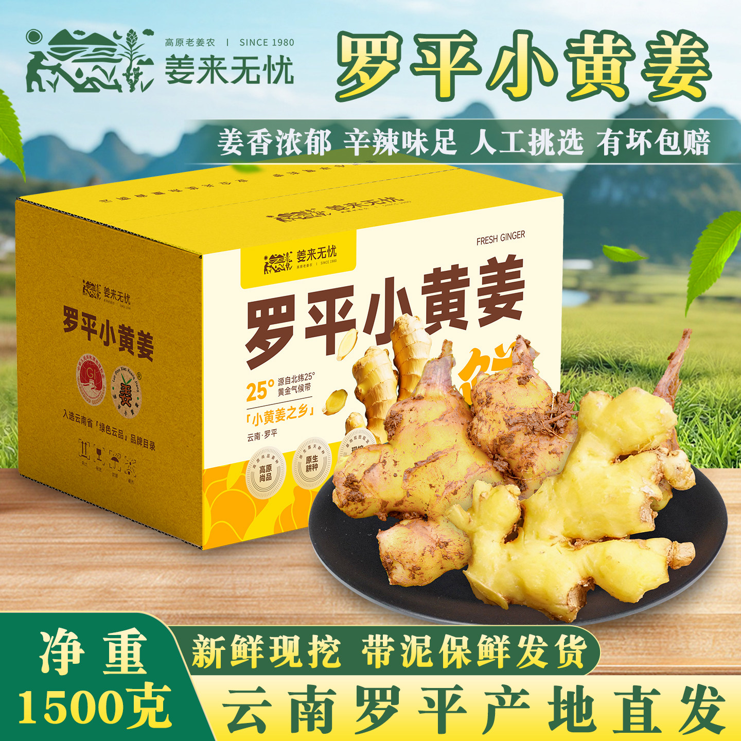 姜来无忧云南罗平小黄姜新姜食用生姜2025年新鲜姜老姜带泥姜土姜