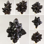 天然埃及预言石黑金刚褐铁矿水晶原石矿物晶体宠石头地质科普标本