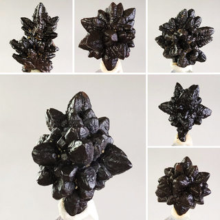 天然埃及预言石黑金刚褐铁矿水晶原石矿物晶体宠石头地质科普标本