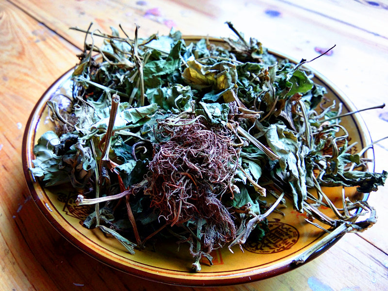 贵州裸蒴白侧耳根1斤包邮 野生中草药材百折耳根三白草科非鱼腥草