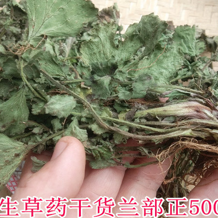 贵州蓝布正中药材野生兰布正 山货头晕药路边青水杨梅南部正500克