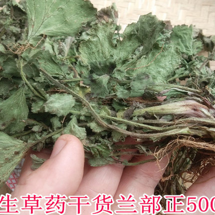 贵州蓝布正中药材野生兰布正 山货头晕药路边青水杨梅南部正500克