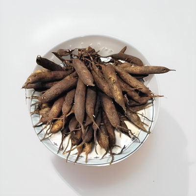 贵州草药一窝蛆新鲜小肺筋草中药材 野生小天门冬金线吊白米500克