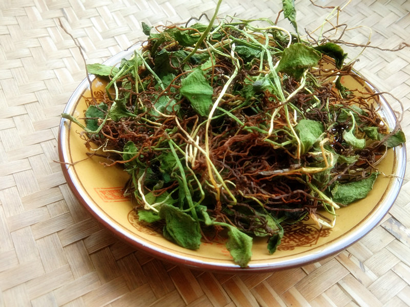 中草药蛇吐须新晒一支箭中药材 贵州苗药蛇咬子青藤水洗干货500克