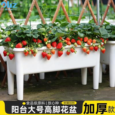 抗菌材质高脚花盆加厚果蔬种植盆