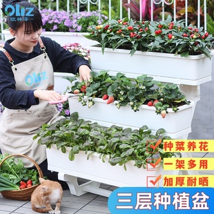 阳台种菜盆多层立体种蔬菜专用箱家庭种菜神器顶楼花架草莓种植箱