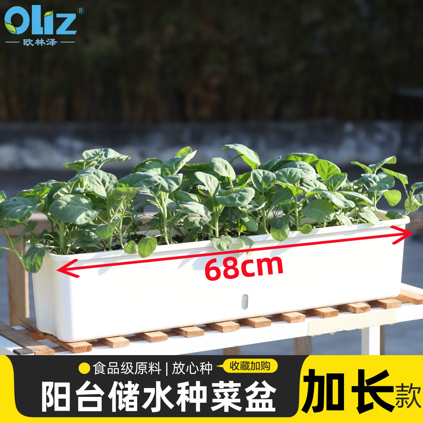 阳台种菜专用箱长方形花盆塑料家用种菜盆加长花箱韭菜小葱种植盆