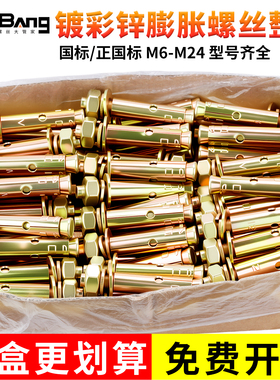 整盒国标镀锌铁膨胀螺丝彩锌加长拉爆螺栓大全6M8M10M12M14M16M20