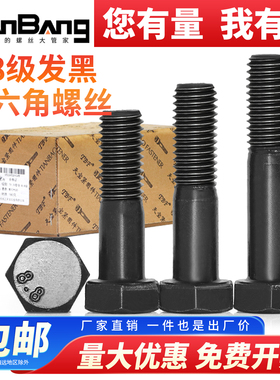 8.8级黑色高强度外六角螺丝半牙螺丝钉盒装M14M16M18M20M22M24M27