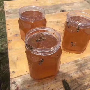 蜂蜜荔枝蜜 荆条、野枣、椴树花、洋槐蜜 纯.真蜜口感香馥。新蜜