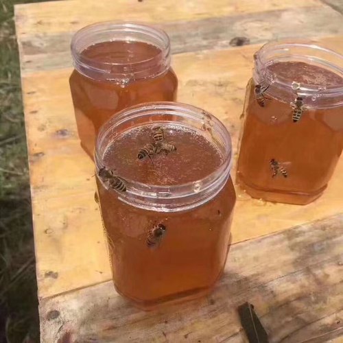 蜂蜜荔枝蜜 荆条、野枣、椴树花、洋槐蜜 纯.真蜜口感香馥。新蜜