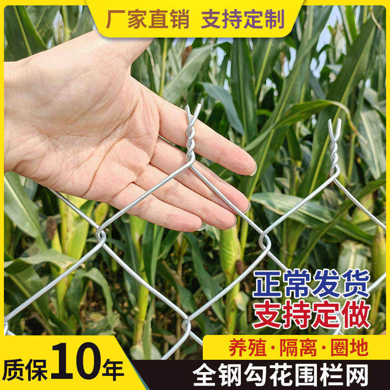 防锈养殖网圈地防护户外拦网养鸡鸭果园隔离护栏围网热镀锌铁丝网