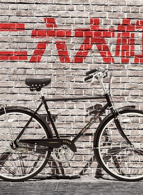 凤凰牌复古二八大杠自行车26寸轻便成人男女老式28通勤单车休闲