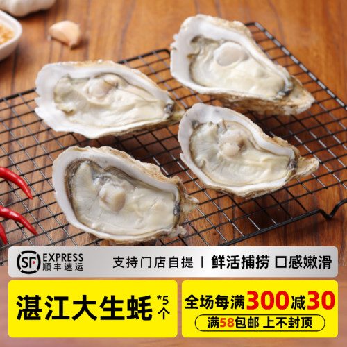 木屋烧烤湛江生蚝5个烧烤食材