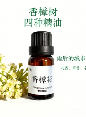 香樟花籽叶木果单方精油