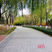 3D山水大草原向日葵玉米地竹林室外风景直播背景布立体主播墙纸布