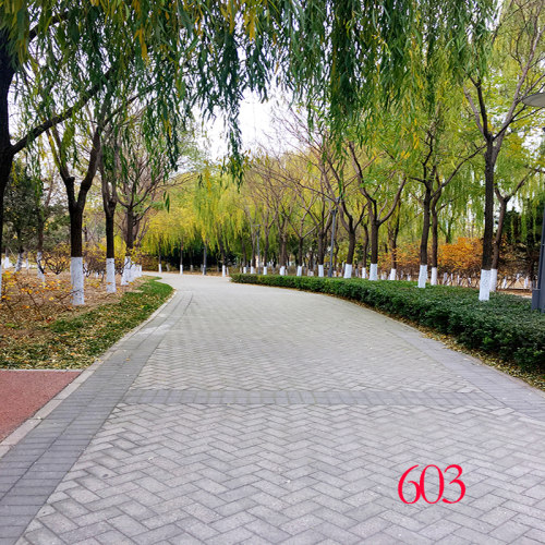 3d山水草原向日葵背景布立体