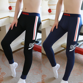 衬裤 线裤 棉裤 男士 加绒加厚保暖裤 纯棉全棉紧身打底裤 冬季 秋裤 薄款