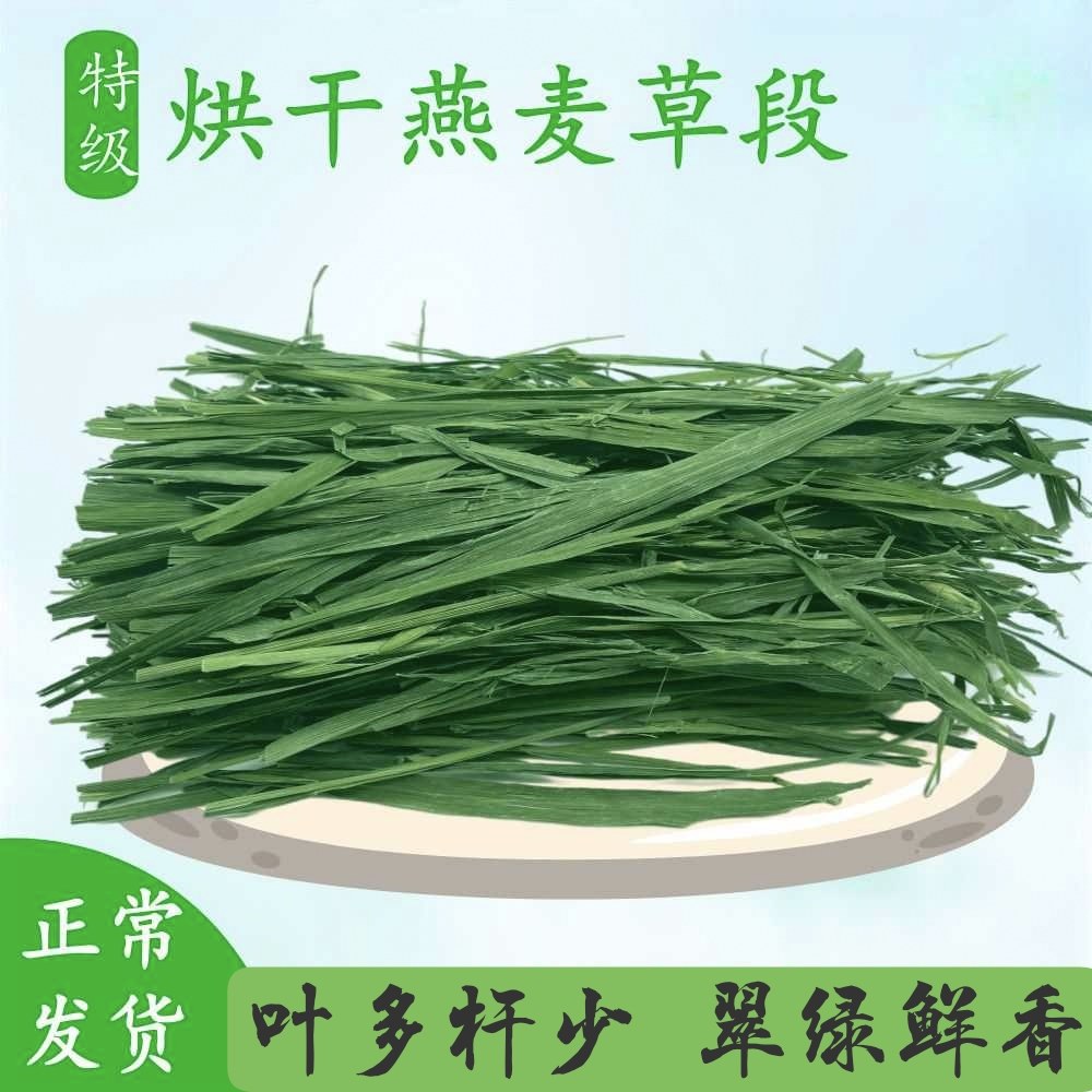26年甘肃精选天然烘干无穗燕麦草段兔子草龙猫荷兰猪食用主食草粮