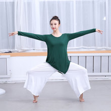 2019 mới tập nhảy quần áo mùa xuân và mùa thu đáy áo sơ mi Slim body dài tay cao cổ áo lông cừu cổ điển - Khiêu vũ / Thể dục nhịp điệu / Thể dục dụng cụ giày ballet mũi cứng