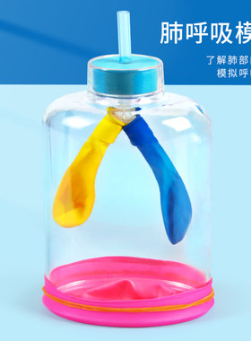 科趣生物diy肺呼吸模型膈肌运动