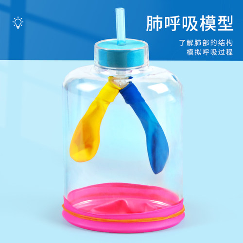 科趣生物diy肺呼吸模型膈肌运动